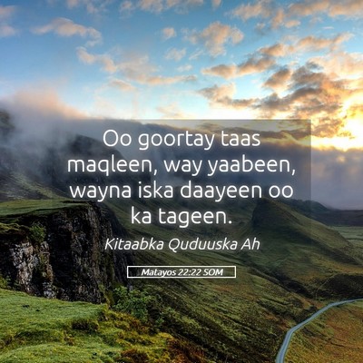 Picture 05 - Matayos 22:22 SOM - Oo goortay taas maqleen, way yaabeen, wayna iska - Bible Verse Picture