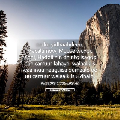 Picture 05 - Matayos 22:24 SOM - oo ku yidhaahdeen, Macallimow, Muuse wuxuu yidhi, - Bible Verse Picture