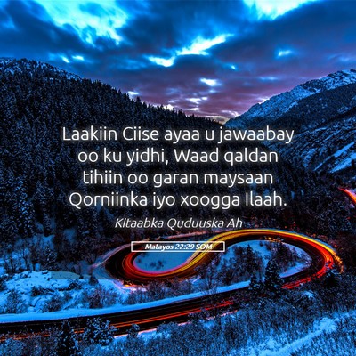 Picture 05 - Matayos 22:29 SOM - Laakiin Ciise ayaa u jawaabay oo ku yidhi, Waad - Bible Verse Picture