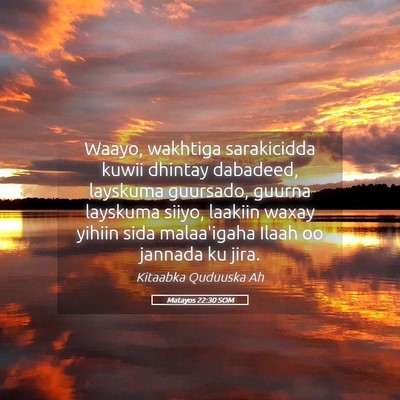 Picture 05 - Matayos 22:30 SOM - Waayo, wakhtiga sarakicidda kuwii dhintay - Bible Verse Picture
