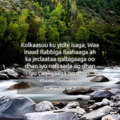 Picture 05 - Matayos 22:37 SOM - Kolkaasuu ku yidhi isaga, Waa inaad Rabbiga - Bible Verse Picture