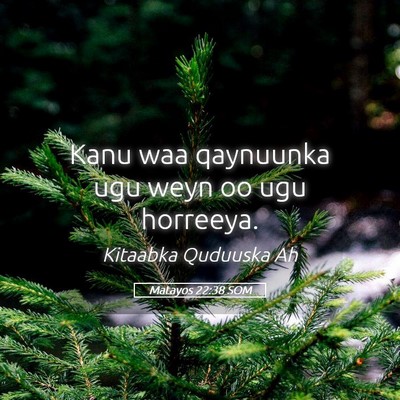 Picture 05 - Matayos 22:38 SOM - Kanu waa qaynuunka ugu weyn oo ugu - Bible Verse Picture