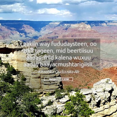 Picture 05 - Matayos 22:5 SOM - Laakiin way fududaysteen, oo iska tageen, mid - Bible Verse Picture