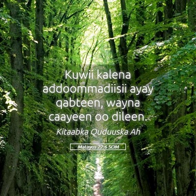 Picture 05 - Matayos 22:6 SOM - Kuwii kalena addoommadiisii ayay qabteen, wayna - Bible Verse Picture