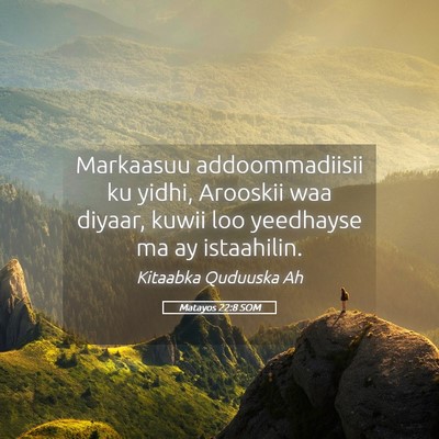 Picture 05 - Matayos 22:8 SOM - Markaasuu addoommadiisii ku yidhi, Arooskii waa - Bible Verse Picture