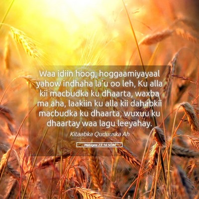 Picture 05 - Matayos 23:16 SOM - Waa idiin hoog, hoggaamiyayaal yahow indhaha la'u - Bible Verse Picture