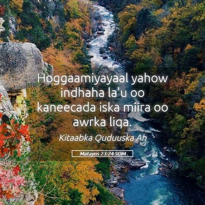 Picture 05 - Matayos 23:24 SOM - Hoggaamiyayaal yahow indhaha la'u oo kaneecada - Bible Verse Picture