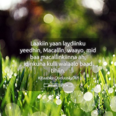 Picture 05 - Matayos 23:8 SOM - Laakiin yaan laydiinku yeedhin, Macallin, waayo, - Bible Verse Picture