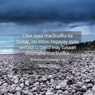 Picture 05 - Matayos 24:1 SOM - Ciise ayaa macbudka ka baxay, oo intuu tegayay - Bible Verse Picture