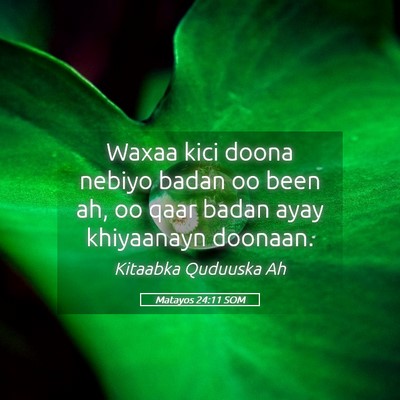 Picture 05 - Matayos 24:11 SOM - Waxaa kici doona nebiyo badan oo been ah, oo qaar - Bible Verse Picture