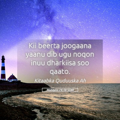 Picture 05 - Matayos 24:18 SOM - Kii beerta joogaana yaanu dib ugu noqon inuu - Bible Verse Picture