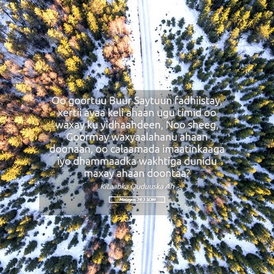 Picture 05 - Matayos 24:3 SOM - Oo goortuu Buur Saytuun fadhiistay, xertii ayaa - Bible Verse Picture