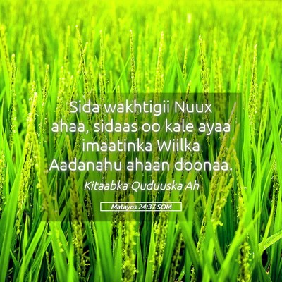 Picture 05 - Matayos 24:37 SOM - Sida wakhtigii Nuux ahaa, sidaas oo kale ayaa - Bible Verse Picture