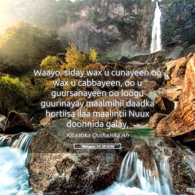 Picture 05 - Matayos 24:38 SOM - Waayo, siday wax u cunayeen oo wax u cabbayeen, - Bible Verse Picture