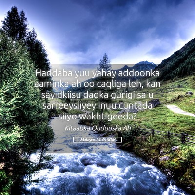 Picture 05 - Matayos 24:45 SOM - Haddaba yuu yahay addoonka aaminka ah oo caqliga - Bible Verse Picture
