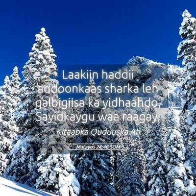 Picture 05 - Matayos 24:48 SOM - Laakiin haddii addoonkaas sharka leh qalbigiisa - Bible Verse Picture