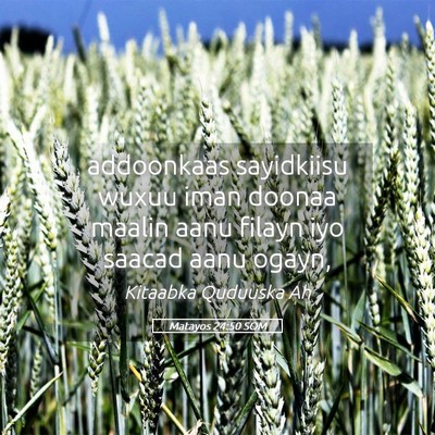 Picture 05 - Matayos 24:50 SOM - addoonkaas sayidkiisu wuxuu iman doonaa maalin - Bible Verse Picture