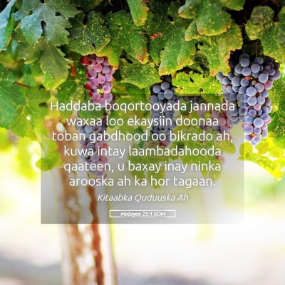 Picture 05 - Matayos 25:1 SOM - Haddaba boqortooyada jannada waxaa loo ekaysiin - Bible Verse Picture