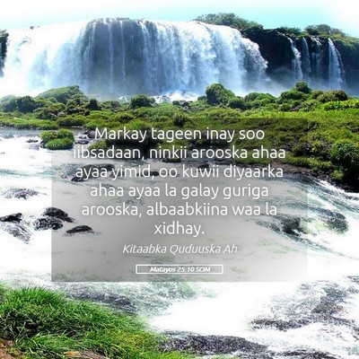 Picture 05 - Matayos 25:10 SOM - Markay tageen inay soo iibsadaan, ninkii arooska - Bible Verse Picture