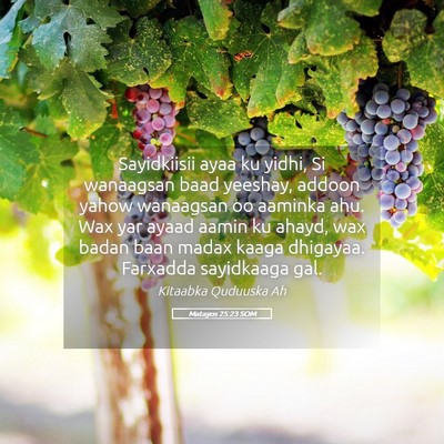 Picture 05 - Matayos 25:23 SOM - Sayidkiisii ayaa ku yidhi, Si wanaagsan baad - Bible Verse Picture