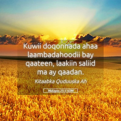 Picture 05 - Matayos 25:3 SOM - Kuwii doqonnada ahaa laambadahoodii bay qaateen, - Bible Verse Picture
