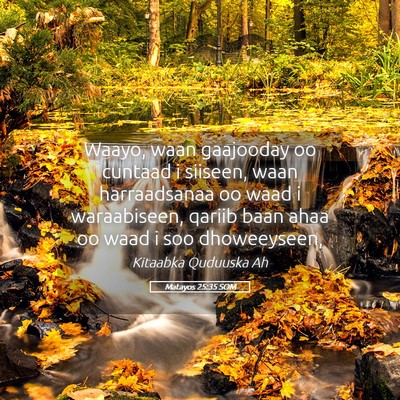 Picture 05 - Matayos 25:35 SOM - Waayo, waan gaajooday oo cuntaad i siiseen, waan - Bible Verse Picture
