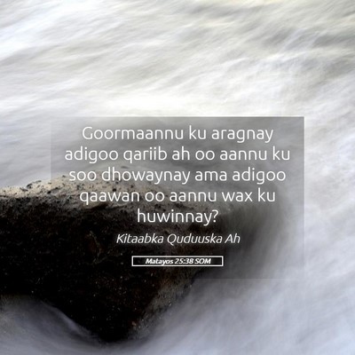 Picture 05 - Matayos 25:38 SOM - Goormaannu ku aragnay adigoo qariib ah oo aannu - Bible Verse Picture