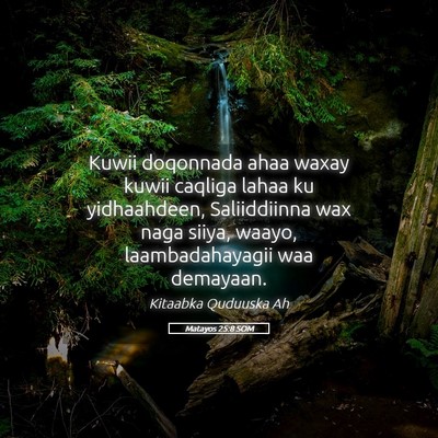 Picture 05 - Matayos 25:8 SOM - Kuwii doqonnada ahaa waxay kuwii caqliga lahaa ku - Bible Verse Picture