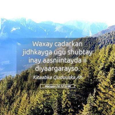 Picture 05 - Matayos 26:12 SOM - Waxay cadarkan jidhkayga ugu shubtay inay - Bible Verse Picture