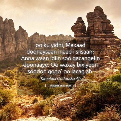 Picture 05 - Matayos 26:15 SOM - oo ku yidhi, Maxaad doonaysaan inaad i siisaan? - Bible Verse Picture