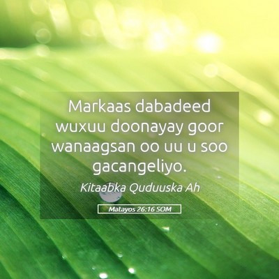 Picture 05 - Matayos 26:16 SOM - Markaas dabadeed wuxuu doonayay goor wanaagsan oo - Bible Verse Picture