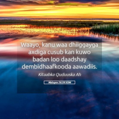 Picture 05 - Matayos 26:28 SOM - Waayo, kanu waa dhiiggayga axdiga cusub kan kuwo - Bible Verse Picture