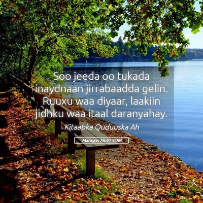 Picture 05 - Matayos 26:41 SOM - Soo jeeda oo tukada inaydnaan jirrabaadda gelin. - Bible Verse Picture