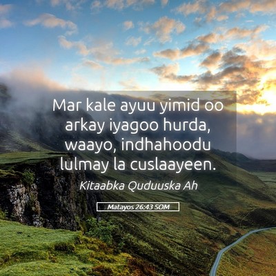 Picture 05 - Matayos 26:43 SOM - Mar kale ayuu yimid oo arkay iyagoo hurda, waayo, - Bible Verse Picture