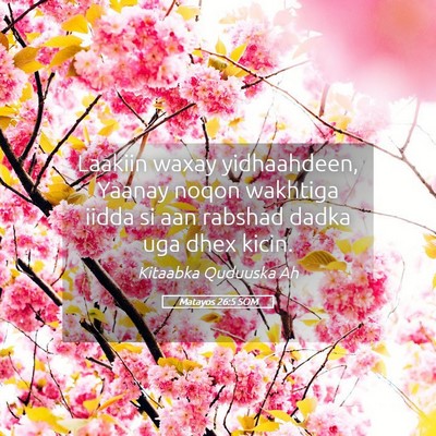 Picture 05 - Matayos 26:5 SOM - Laakiin waxay yidhaahdeen, Yaanay noqon wakhtiga - Bible Verse Picture