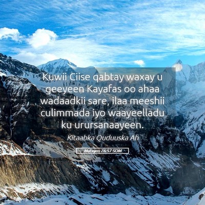 Picture 05 - Matayos 26:57 SOM - Kuwii Ciise qabtay waxay u geeyeen Kayafas oo - Bible Verse Picture