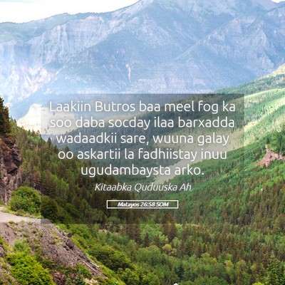 Picture 05 - Matayos 26:58 SOM - Laakiin Butros baa meel fog ka soo daba socday - Bible Verse Picture