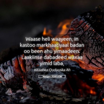 Picture 05 - Matayos 26:60 SOM - Waase heli waayeen, in kastoo markhaatiyaal badan - Bible Verse Picture