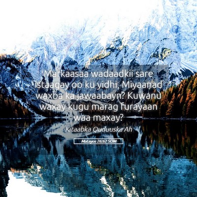 Picture 05 - Matayos 26:62 SOM - Markaasaa wadaadkii sare istaagay oo ku yidhi, - Bible Verse Picture