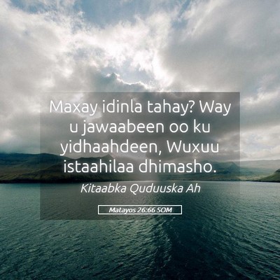 Picture 05 - Matayos 26:66 SOM - Maxay idinla tahay? Way u jawaabeen oo ku - Bible Verse Picture