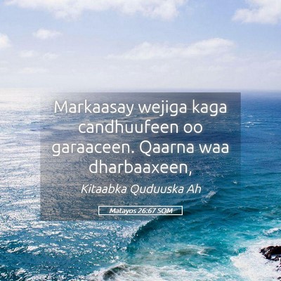 Picture 05 - Matayos 26:67 SOM - Markaasay wejiga kaga candhuufeen oo garaaceen. - Bible Verse Picture