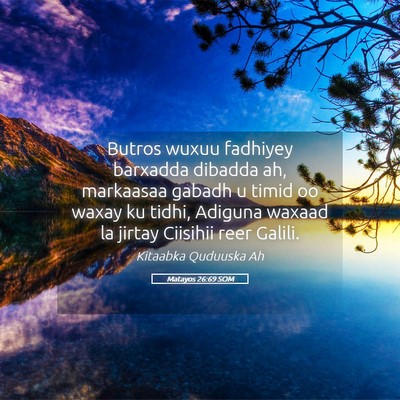 Picture 05 - Matayos 26:69 SOM - Butros wuxuu fadhiyey barxadda dibadda ah, - Bible Verse Picture