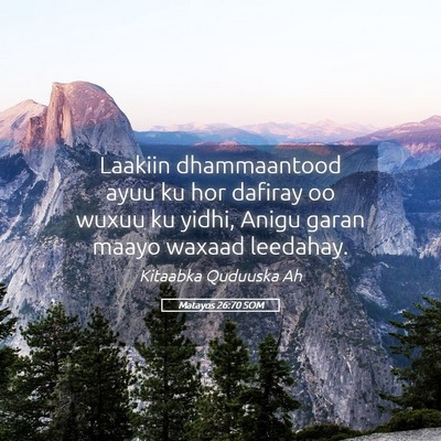 Picture 05 - Matayos 26:70 SOM - Laakiin dhammaantood ayuu ku hor dafiray oo wuxuu - Bible Verse Picture