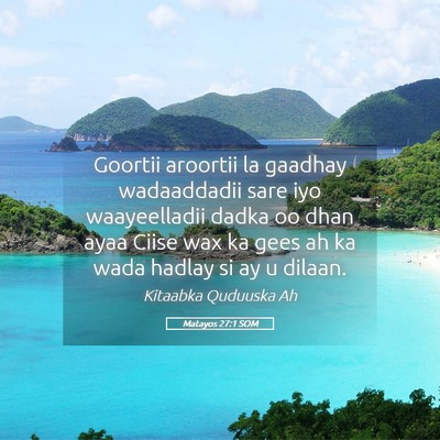 Picture 05 - Matayos 27:1 SOM - Goortii aroortii la gaadhay wadaaddadii sare iyo - Bible Verse Picture