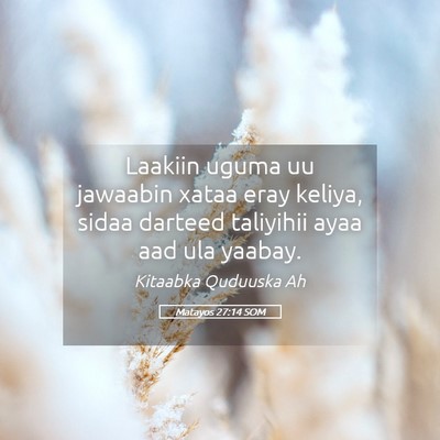 Picture 05 - Matayos 27:14 SOM - Laakiin uguma uu jawaabin xataa eray keliya, - Bible Verse Picture