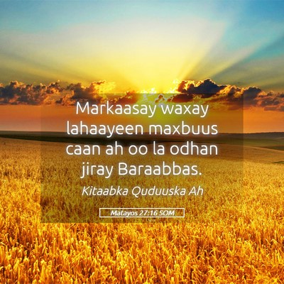 Picture 05 - Matayos 27:16 SOM - Markaasay waxay lahaayeen maxbuus caan ah oo la - Bible Verse Picture