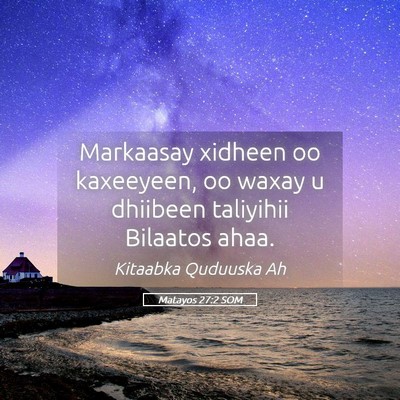 Picture 05 - Matayos 27:2 SOM - Markaasay xidheen oo kaxeeyeen, oo waxay u - Bible Verse Picture