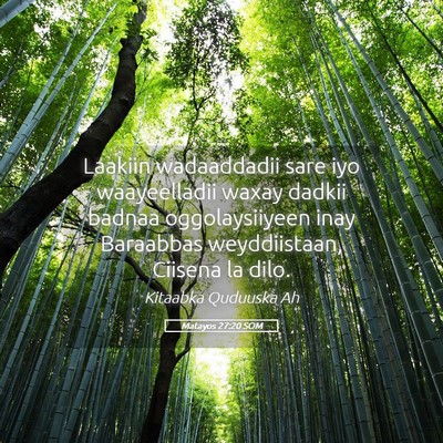 Picture 05 - Matayos 27:20 SOM - Laakiin wadaaddadii sare iyo waayeelladii waxay - Bible Verse Picture