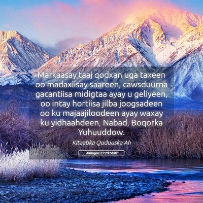 Picture 05 - Matayos 27:29 SOM - Markaasay taaj qodxan uga taxeen oo madaxiisay - Bible Verse Picture