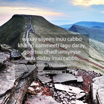 Picture 05 - Matayos 27:34 SOM - waxay siiyeen inuu cabbo khamri xammeeti lagu - Bible Verse Picture